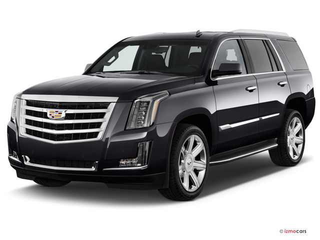 Car Hire